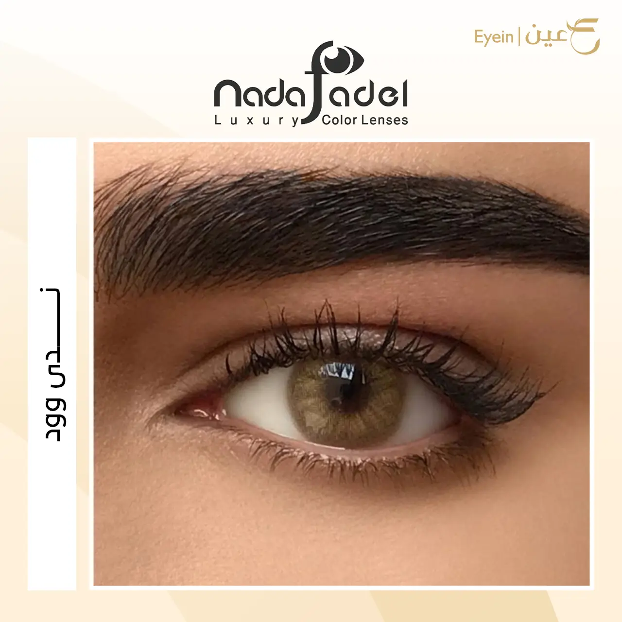 عدسات ندى فاضل - ندى وود